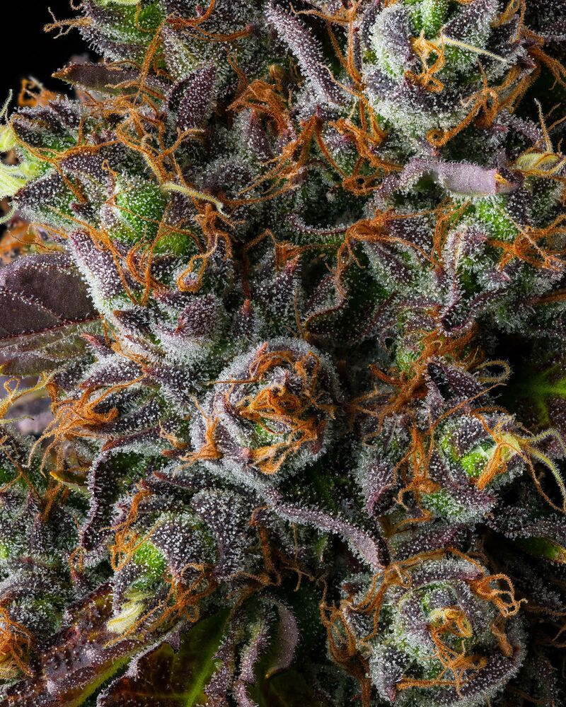 Strawberry Skrilla, Фасовка: 3, изображение 4